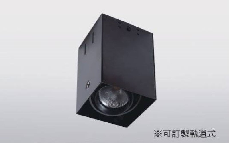 JSL-1915-1 