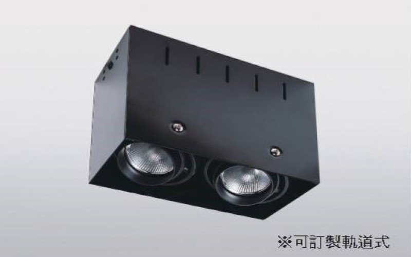 JSL-1915-2
